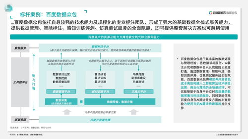 德勤咨询人工智能基础数据服务白皮书 驱动基础软件开发的新引擎
