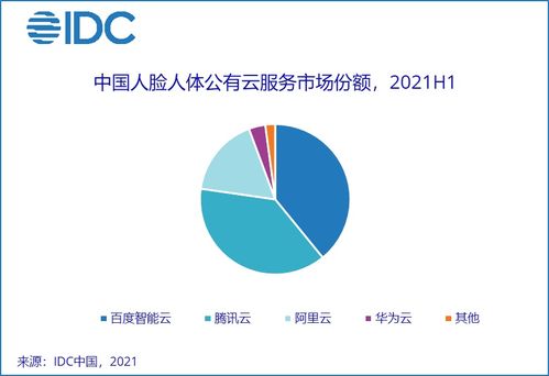 2021年上半年中国AI云服务市场 2.8亿美元规模下的人工智能基础软件开发